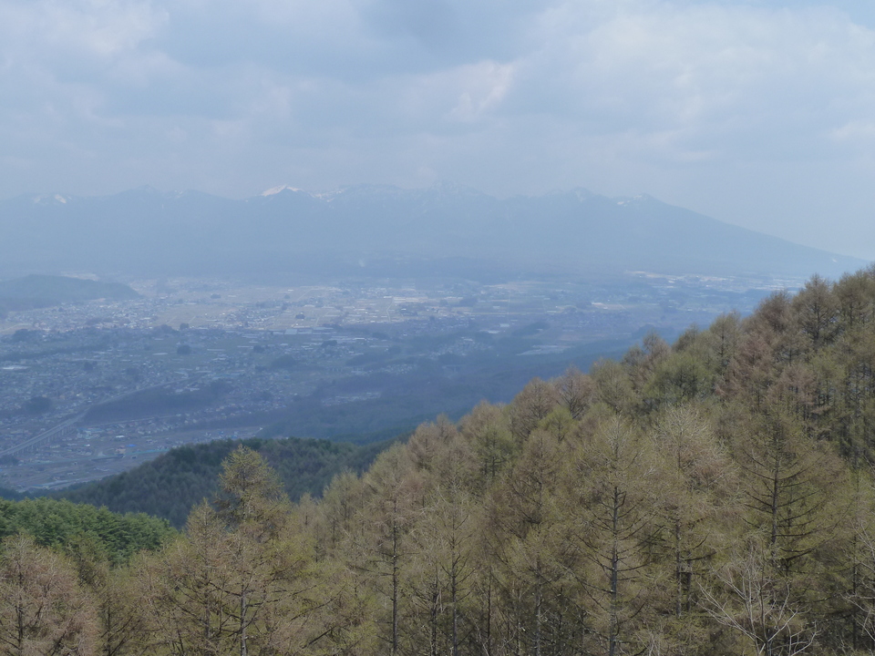 P1090576_mid.jpg