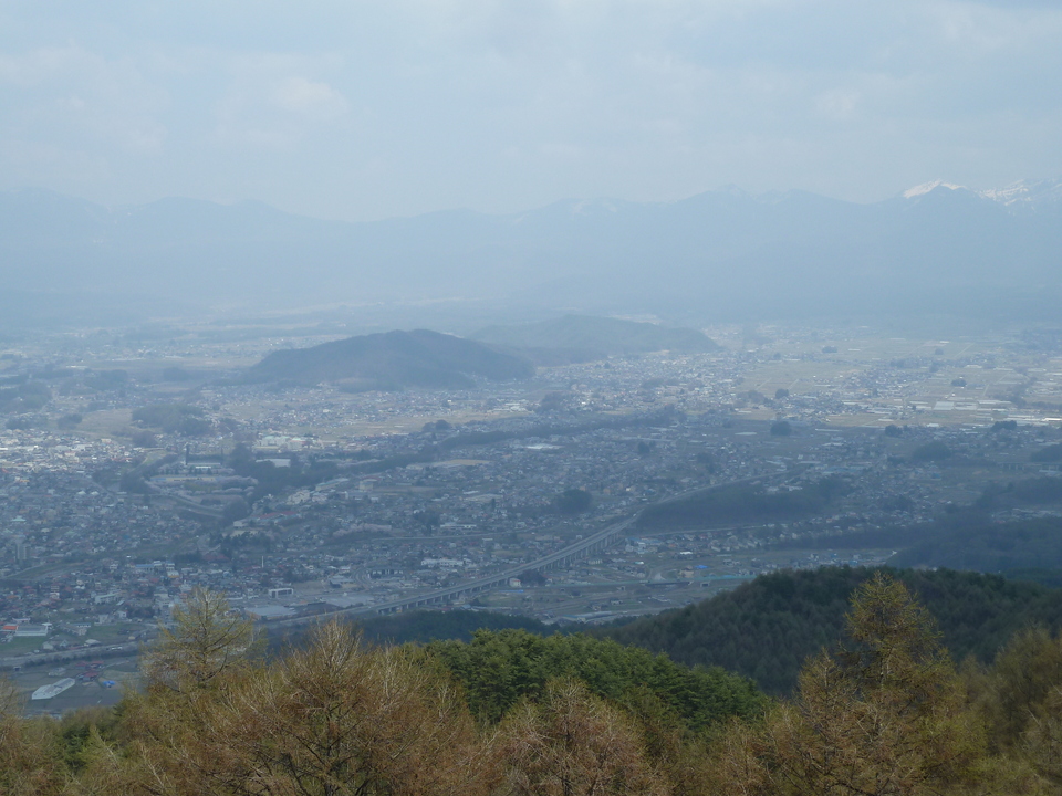 P1090580_mid.jpg