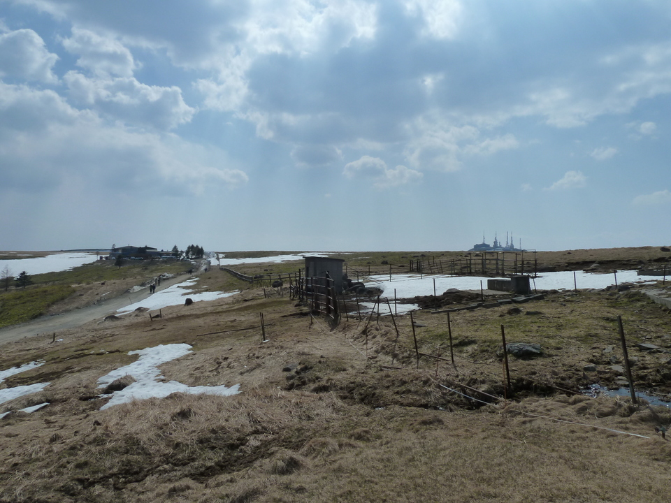 P1090600_mid.jpg