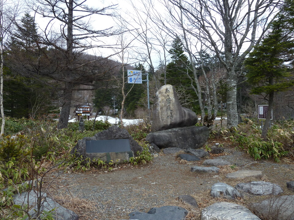 P1090665_mid.jpg