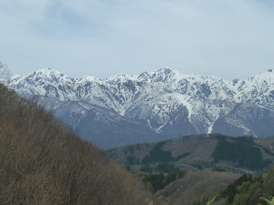 P1140215_mid.jpg