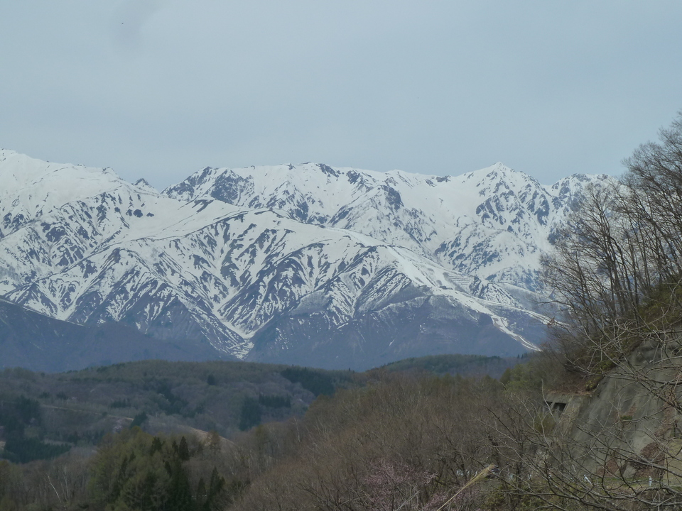 P1140216_mid.jpg