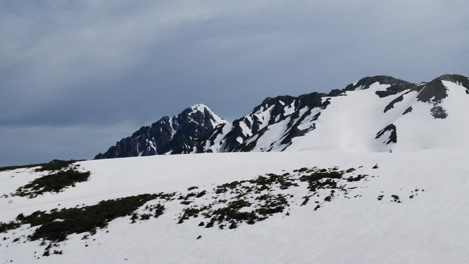 DSC_0105_mid.jpg