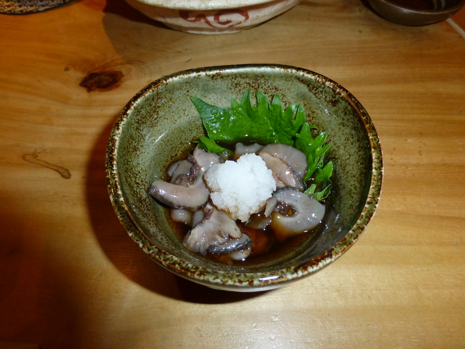 P1090658_mid.jpg