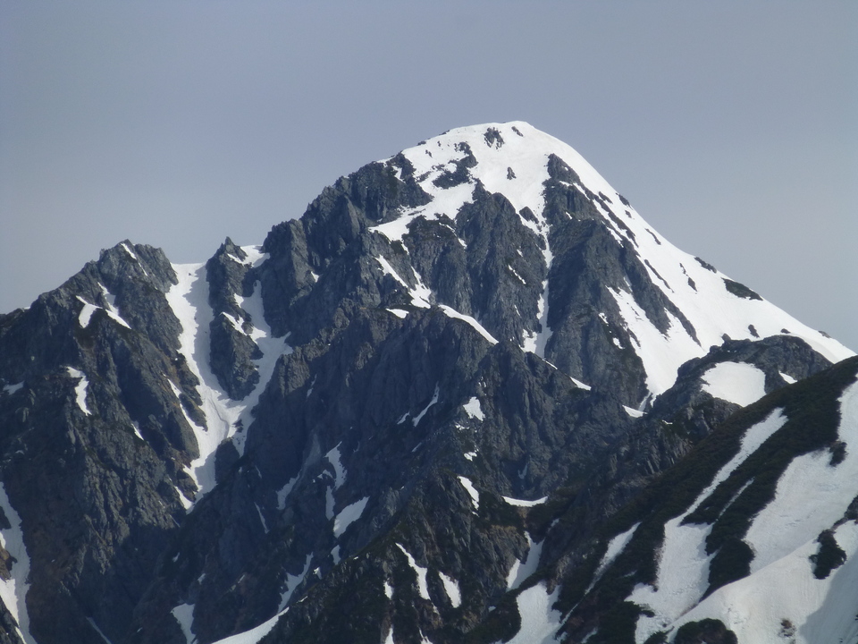P1090825_mid.jpg