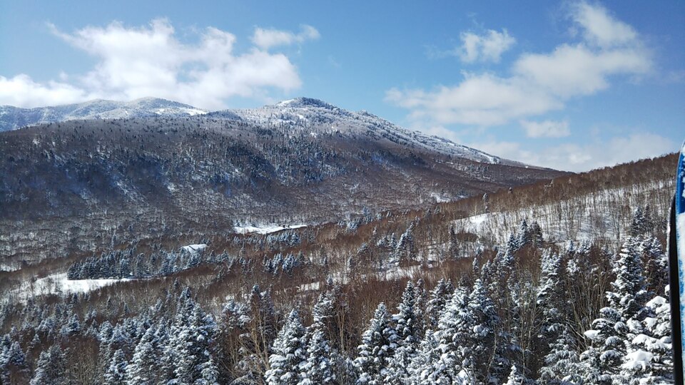 DSC_1289_mid.jpg