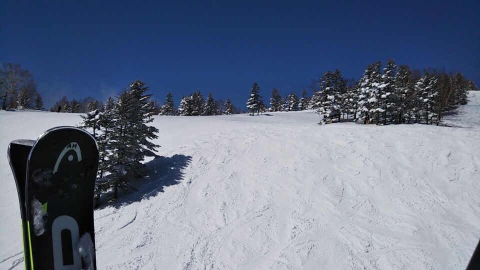 DSC_1295_mid.jpg