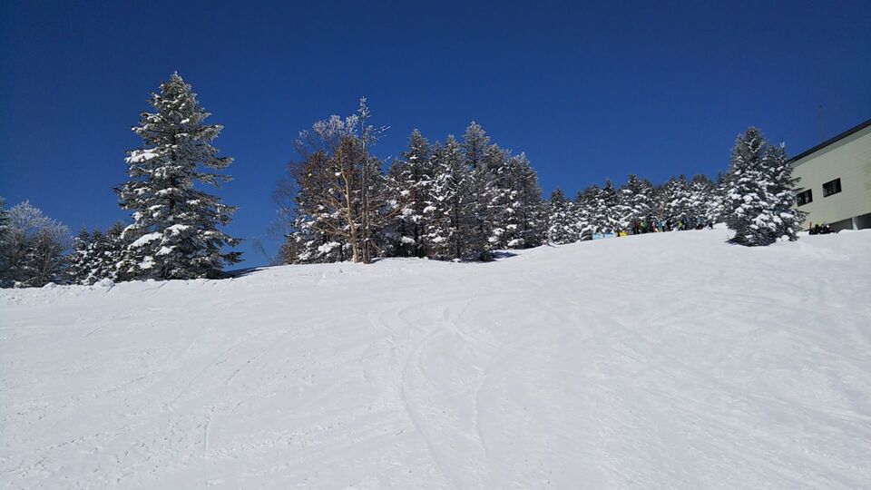 DSC_1299_mid.jpg