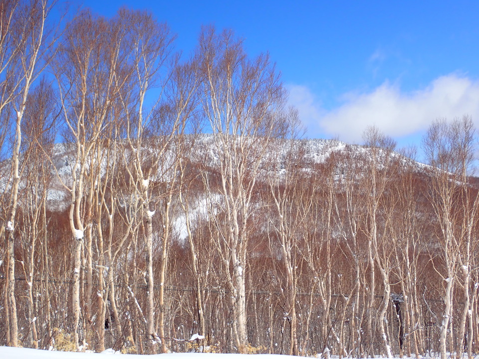P3253169_mid.jpg