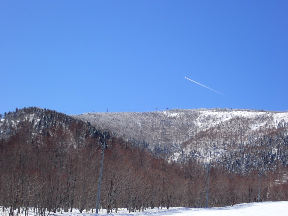 P3253227_mid.jpg