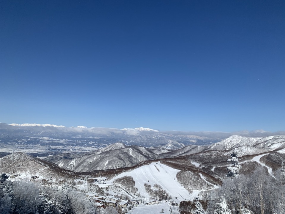S__34095163_mid.jpg