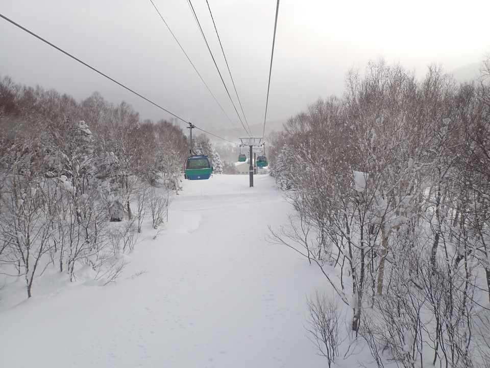 P1099405_mid.jpg