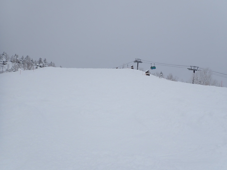 P1099423_mid.jpg