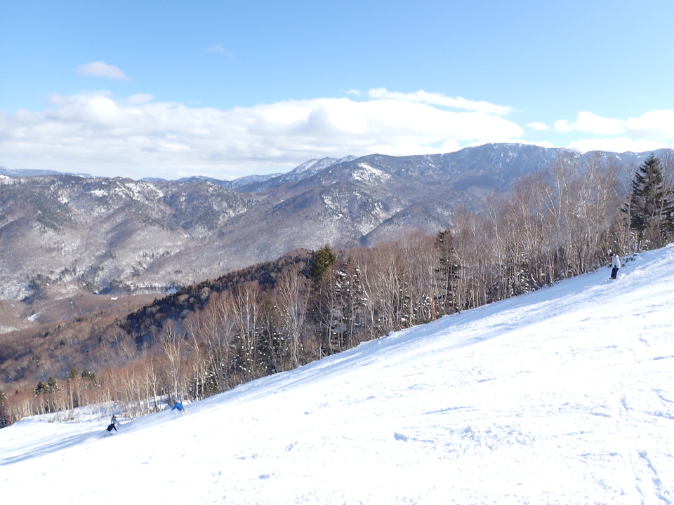 P1067270_mid.jpg