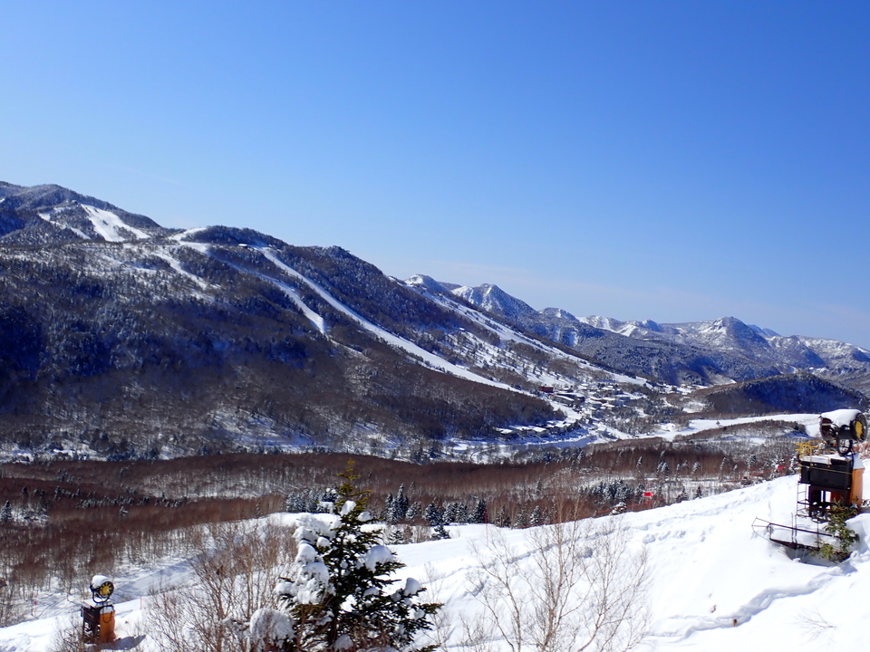 P3117619_mid.jpg
