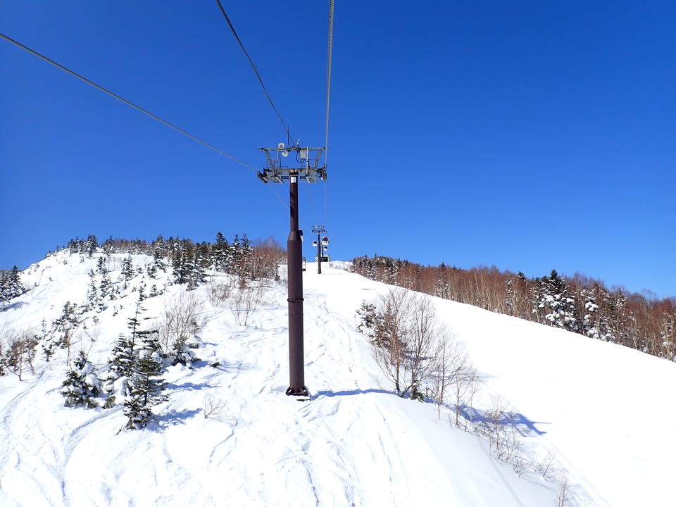 P3117624_mid.jpg