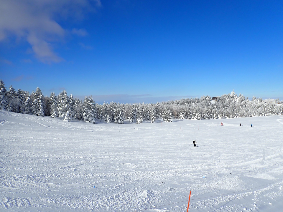 P1019733_mid.jpg