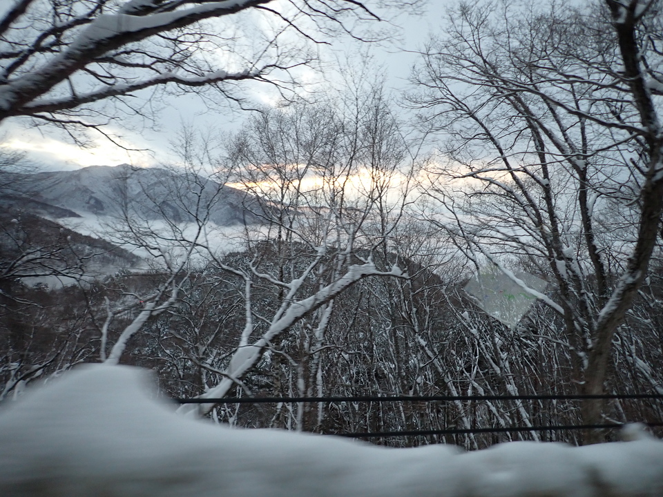 P1029778_mid.jpg