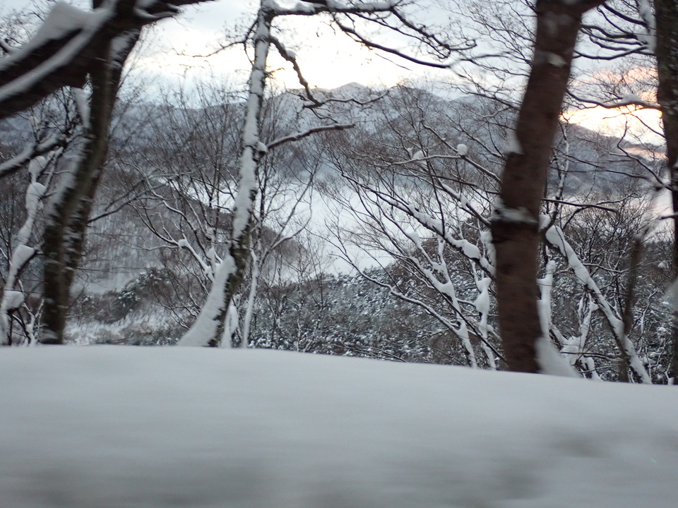 P1029780_mid.jpg