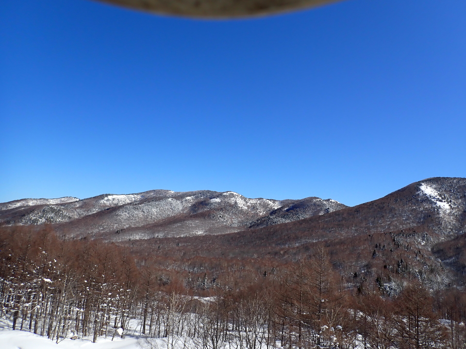 P2159788_mid.jpg