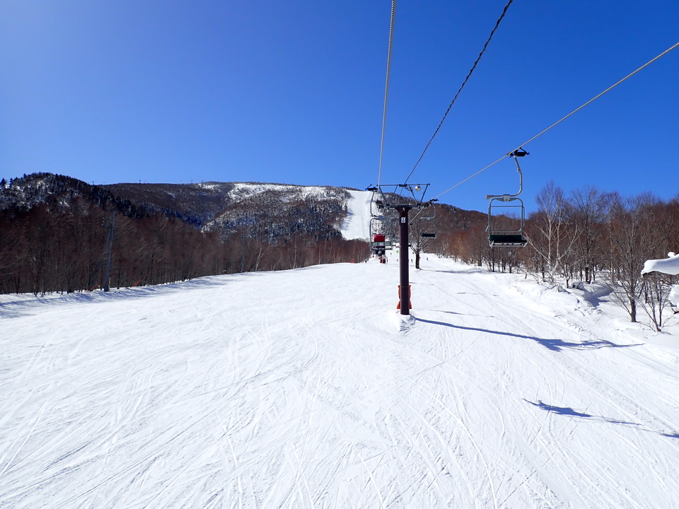 P2159798_mid.jpg