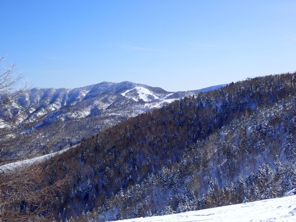 P2159802_mid.jpg