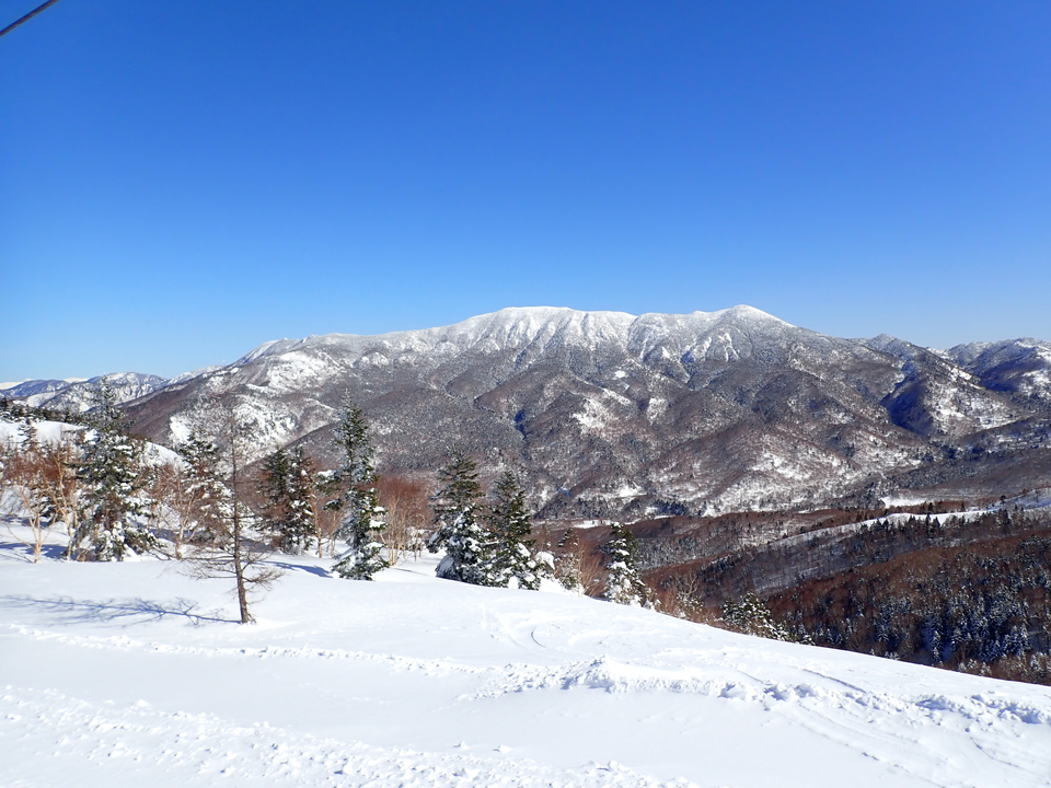 P2159803_mid.jpg
