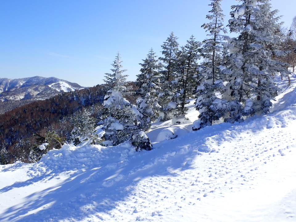 P2159805_mid.jpg