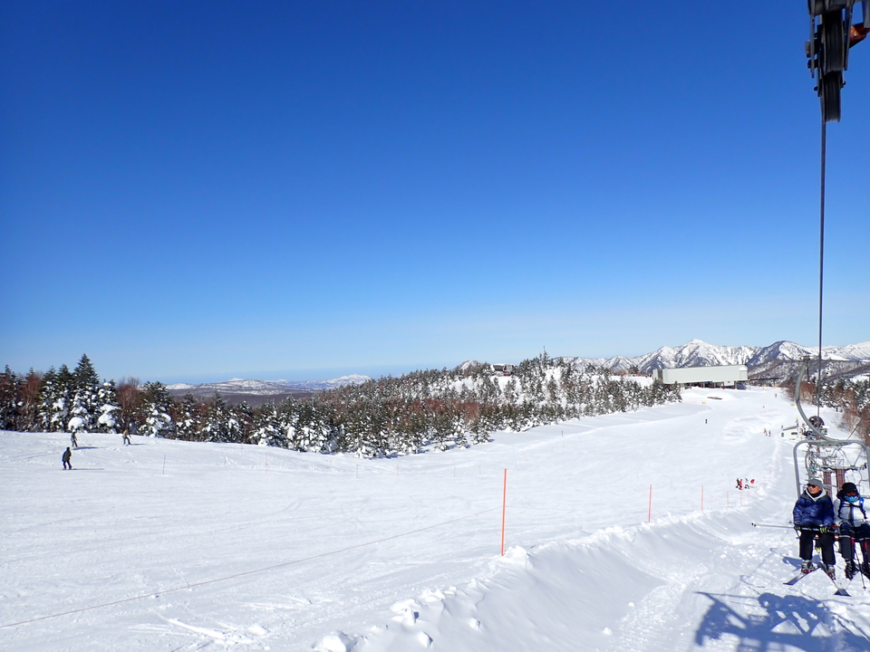 P2159806_mid.jpg