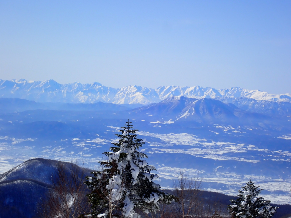 P2159812_mid.jpg