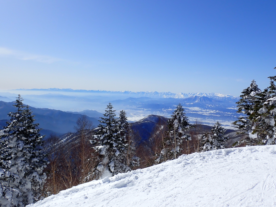 P2159813_mid.jpg