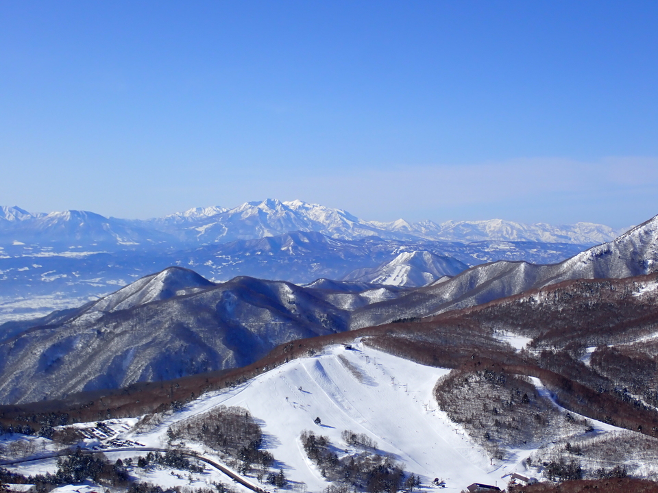 P2159830_mid.jpg