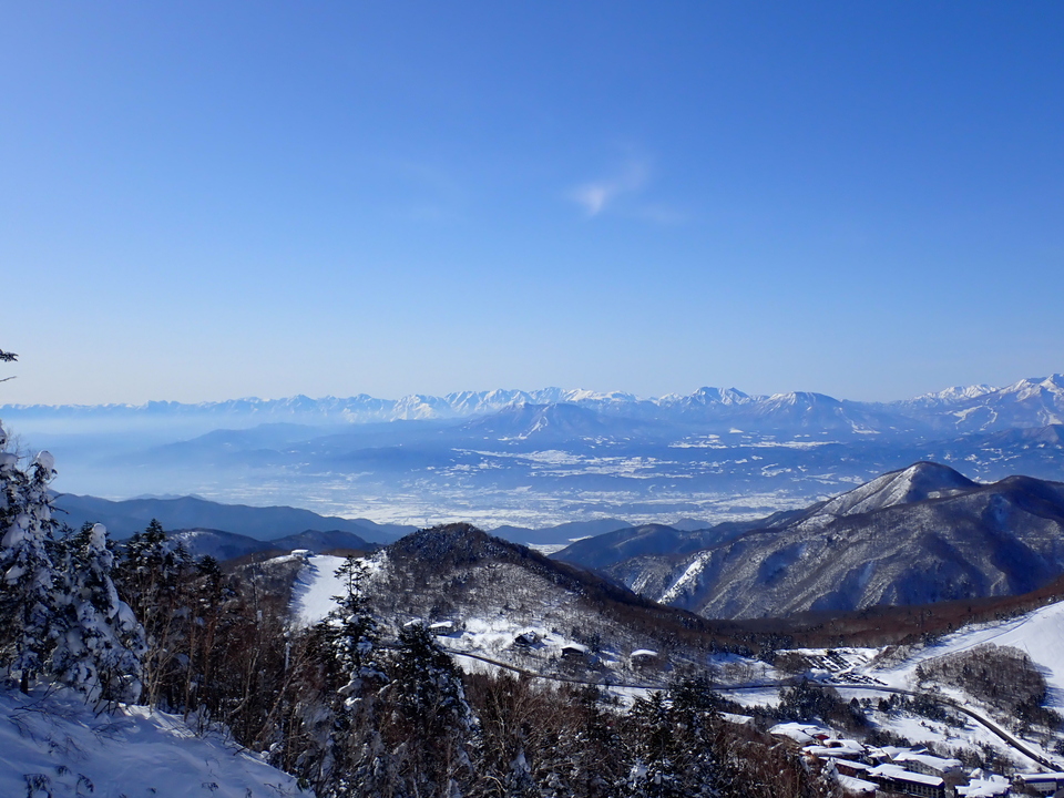 P2159831_mid.jpg