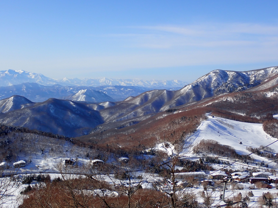 P2159841_mid.jpg