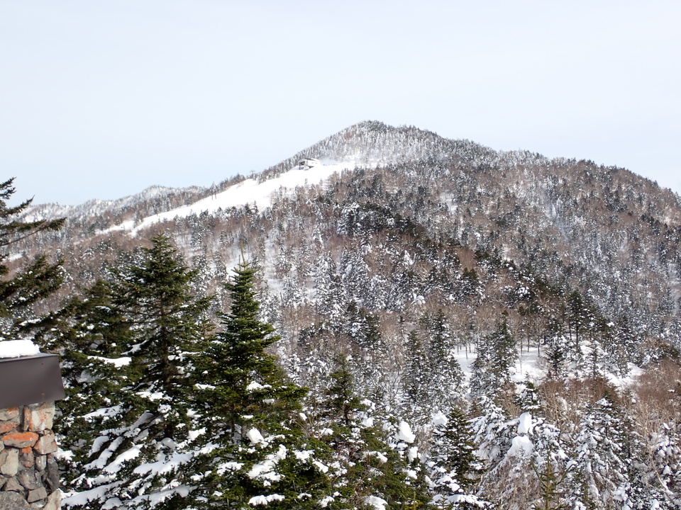 P2169855_mid.jpg