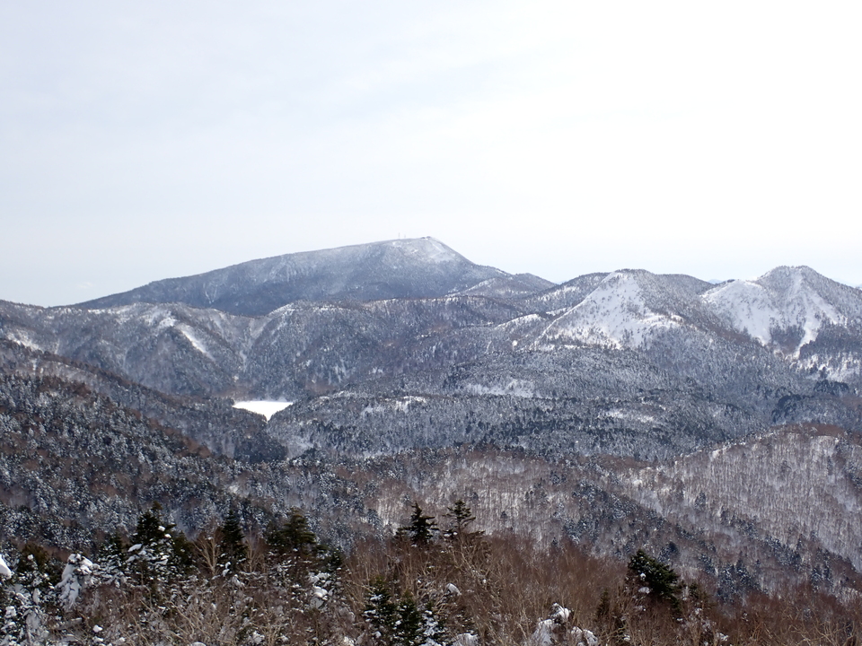 P2169856_mid.jpg