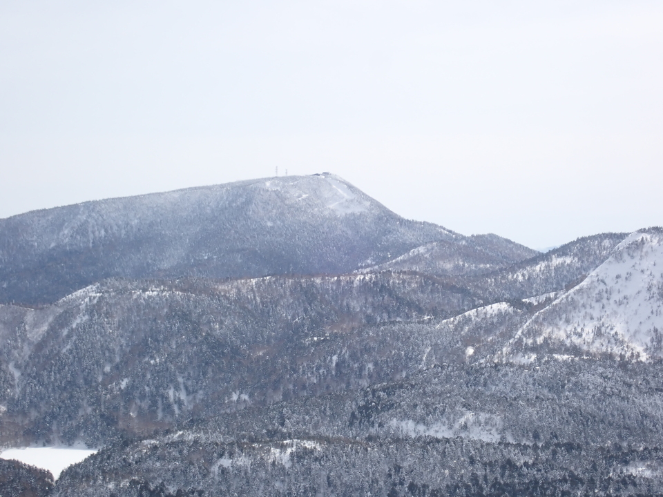 P2169858_mid.jpg