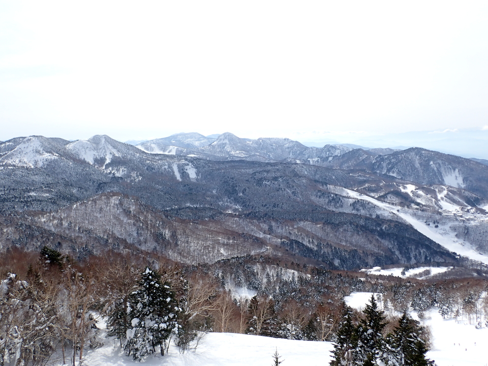 P2169859_mid.jpg