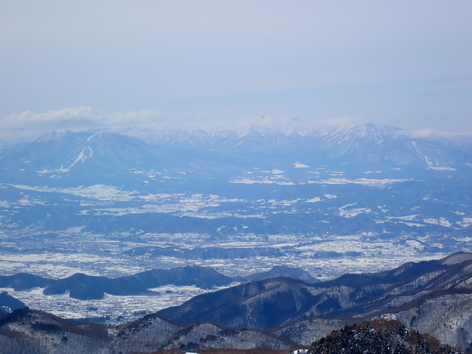 P2169863_mid.jpg