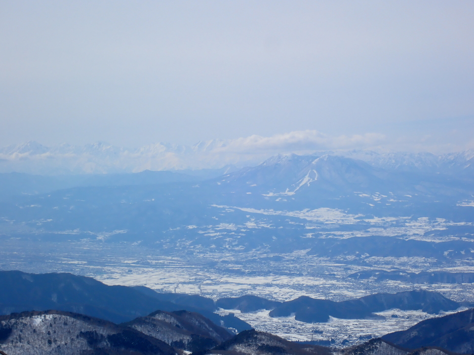 P2169864_mid.jpg