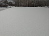 DSC_4275_thumb.png