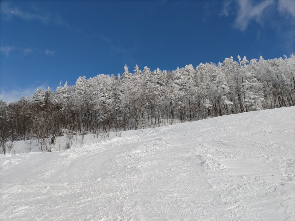 DSC_4301_mid.jpg
