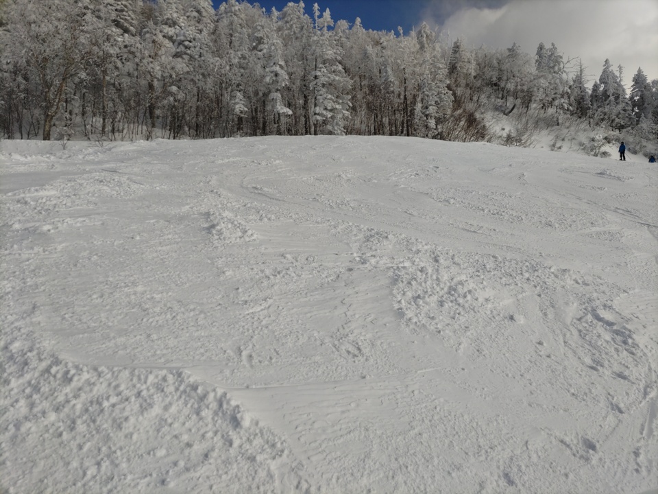 DSC_4303_mid.jpg