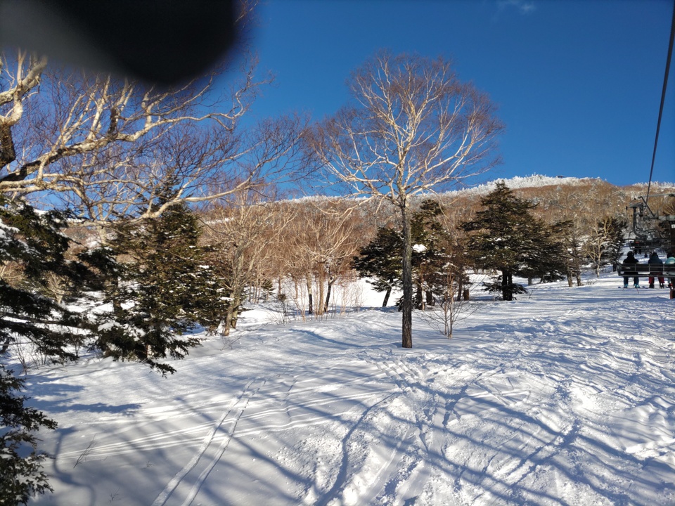DSC_4312_mid.jpg