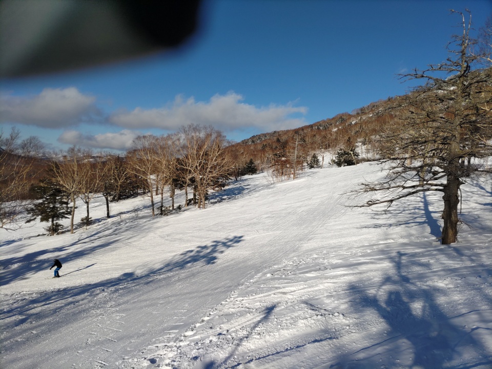 DSC_4316_mid.jpg