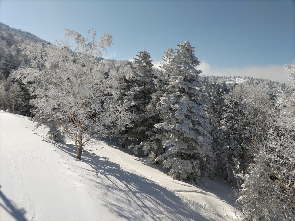 DSC_4332_mid.jpg