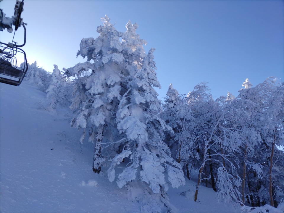 DSC_4335_mid.jpg