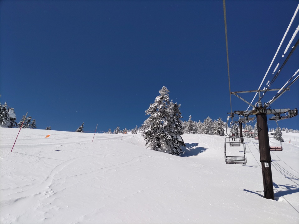 DSC_4400_mid.jpg