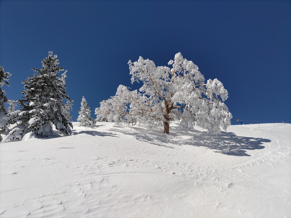 DSC_4408_mid.jpg