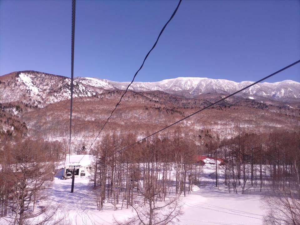 DSC_4419_mid.jpg